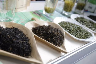 超贊！中山扶貧展銷會圓滿落幕，300余種特色農產品備受青睞，食用農產品初加工成焦點