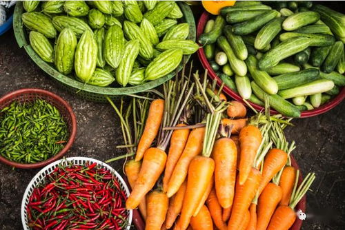2020關鍵年 探索他國生態(tài)循環(huán)農業(yè)模式，深化食用農產品初加工發(fā)展