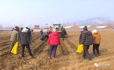 種地也能發(fā)財！撫寧人靠食用農產品初加工走穩(wěn)致富路