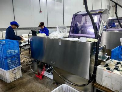 機械化助力食用菌產業(yè)化生產 為鄉(xiāng)村振興撐開“致富傘”